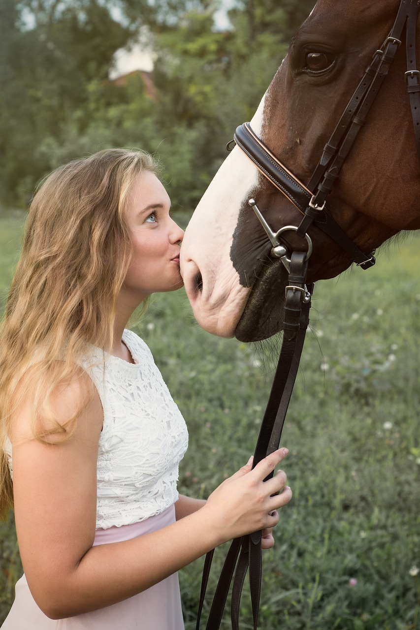 A horse image